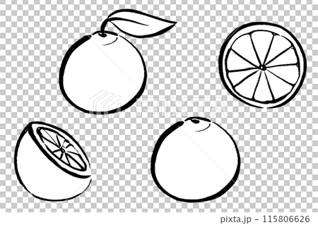 Brush-touch orange line drawing illustration set 115806626
