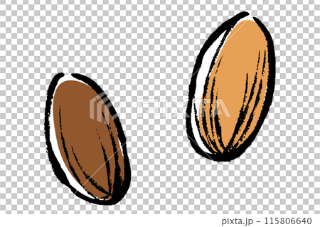筆タッチのアーモンドのイラストセット 115806640