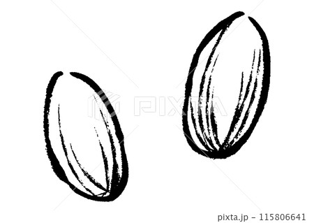 筆タッチのアーモンドの線画イラストセット 115806641
