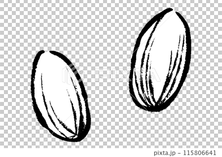 筆タッチのアーモンドの線画イラストセット 115806641