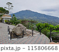 view from the terrace on the terrace of a garden 115806668