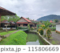 rice terrace on the river 115806669