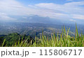 view of mountain 115806717