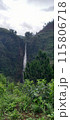 mountain landscape with big green forest at wonosobo indonesia 115806718