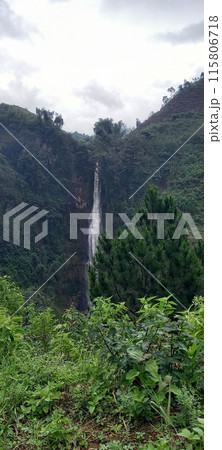 mountain landscape with big green forest at wonosobo indonesia 115806718