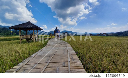 tourists walk on wooden pier tourists walk on wooden pier 115806749