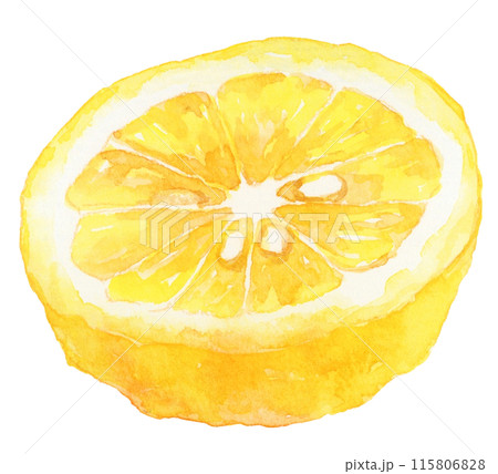 半分にカットした柚子の実　水彩イラスト 115806828