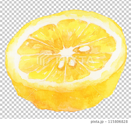 半分にカットした柚子の実　水彩イラスト 115806828