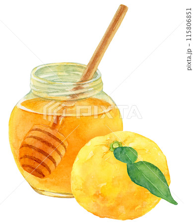 はちみつと柚子の水彩イラスト 115806851