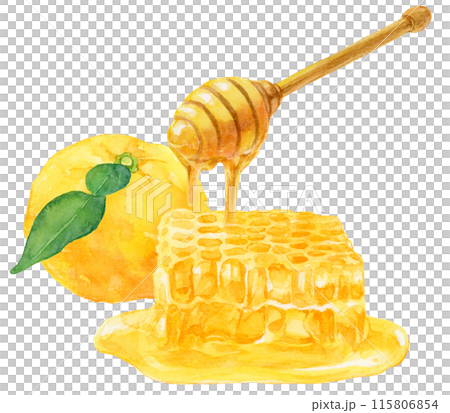 葉つき柚子とはちみつ・巣蜜の水彩イラスト 葉つき柚子とはちみつ・巣蜜の水彩イラスト 115806854