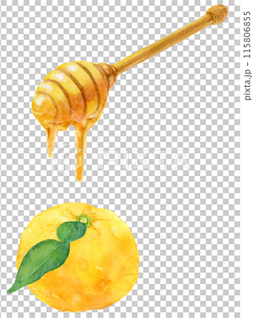 ハチミツ柚✴️イラストカード、他 ハチミツ柚様専用✴️イラストカード、他 【公式通販】
