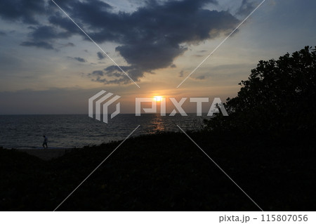 南国タイの木々の間から見える海に沈む夕日 南国タイの木々の間から見える海に沈む夕日 115807056