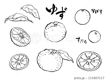 墨で描いた柚子　かぼす　すだち 115807217