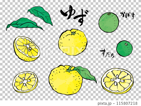 墨で描いた柚子　かぼす　すだち　水彩風着色 115807218