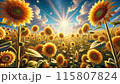 ひまわり畑 115807824