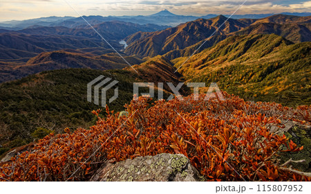甲武信岳・戸渡尾根の紅葉と富士山の眺め 甲武信岳・戸渡尾根の紅葉と富士山の眺め 115807952