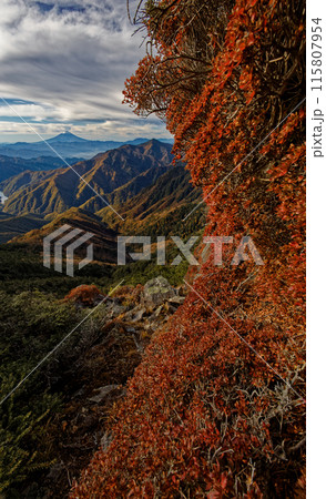 甲武信岳・戸渡尾根の紅葉と富士山の眺め 115807954