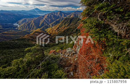 甲武信岳・戸渡尾根の紅葉と富士山の眺め 115807956
