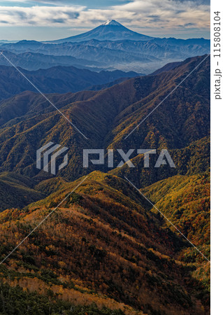 朝の甲武信岳・戸渡尾根から見る紅葉の山並みと富士山 115808104