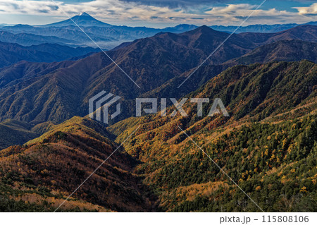 甲武信岳・戸渡尾根から見る朝の富士山と黒金山 115808106