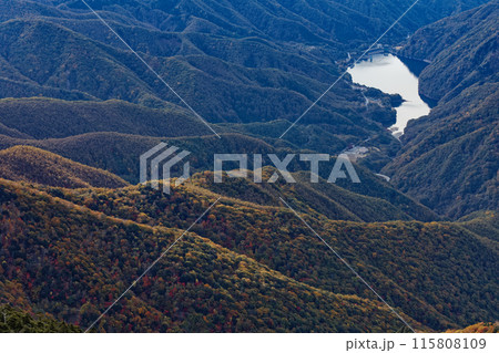 甲武信岳・戸渡尾根から見る紅葉の山並みと広瀬ダム湖 115808109