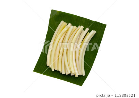 Fresh lotus rootlet on white background. 115808521