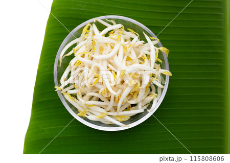Bean sprouts on banana leaf 115808606