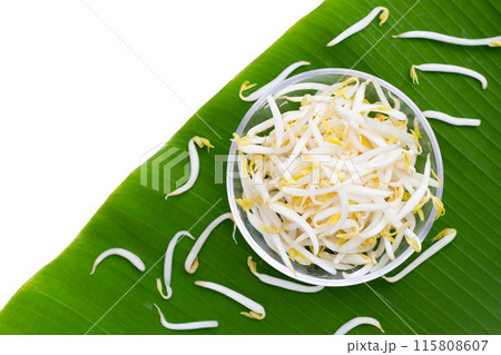 Bean sprouts on banana leaf Bean sprouts on banana leaf 115808607