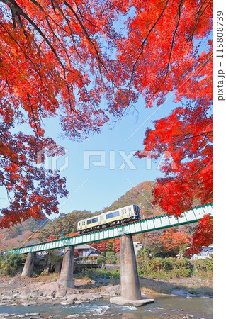 紅葉真っ盛りの水郡線久慈川橋梁 115808739