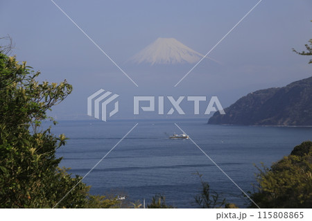 恋人岬からの富士山 恋人岬からの富士山 115808865
