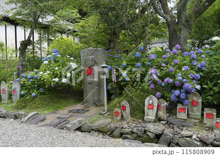 矢田寺（奈良県）味噌なめ地蔵 115808909