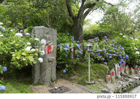 矢田寺(奈良県)味噌なめ地蔵 矢田寺(奈良県)味噌なめ地蔵 115808917