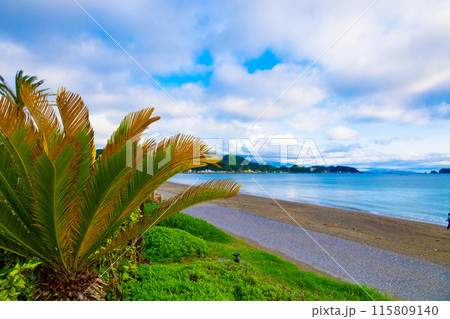 清々しい朝・青空の元名海岸ビーチの砂浜とヤシの木に青い海と美しい水平線(千葉県) 清々しい朝・青空の元名海岸ビーチの砂浜とヤシの木に青い海と美しい水平線(千葉県) 115809140