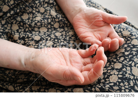 膝の上に置いた高齢女性の手 膝の上に置いた高齢女性の手 115809676