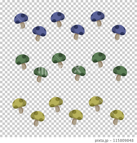 沢山のカラフルなキノコのセット 115809848