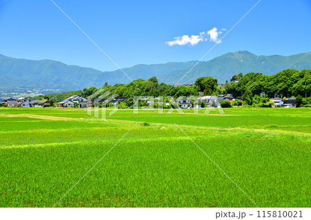 長野県伊那市美篶より経ヶ岳方面を望む(長野県伊那市)【2024.6】 長野県伊那市美篶より経ヶ岳方面を望む(長野県伊那市)【2024.6】 115810021