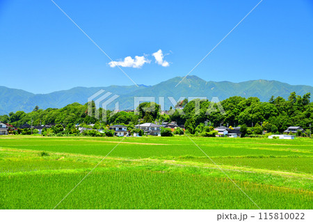 長野県伊那市美篶より経ヶ岳方面を望む(長野県伊那市)【2024.6】 長野県伊那市美篶より経ヶ岳方面を望む(長野県伊那市)【2024.6】 115810022