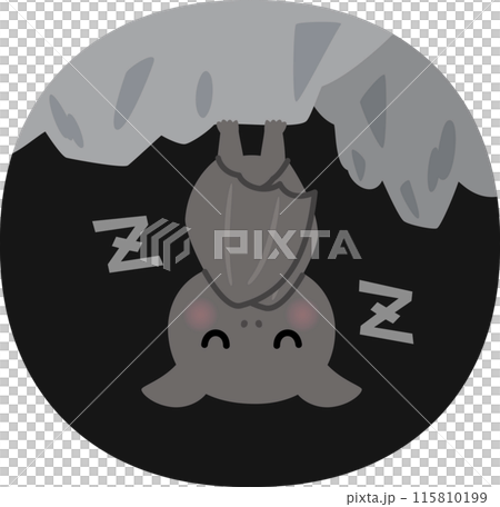 Bats hanging from the ceiling of a cave 115810199