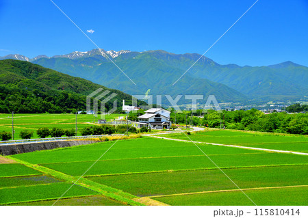 長野県伊那市高遠町下山田より木曽駒ヶ岳方面を望む(長野県伊那市)【2024.6】 長野県伊那市高遠町下山田より木曽駒ヶ岳方面を望む(長野県伊那市)【2024.6】 115810414