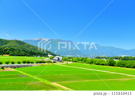 長野県伊那市高遠町下山田より木曽駒ヶ岳方面を望む(長野県伊那市)【2024.6】 115810415