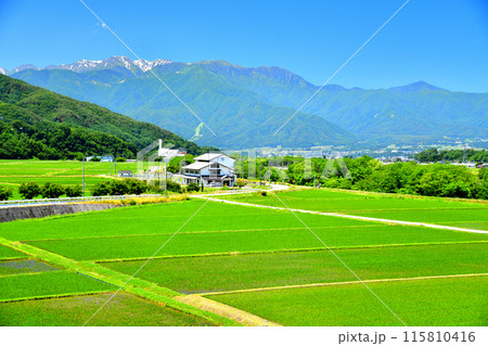 長野県伊那市高遠町下山田より木曽駒ヶ岳方面を望む(長野県伊那市)【2024.6】 115810416