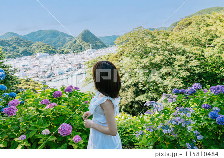 【下田あじさい祭り】あじさい満開の丘から見た下田の街風景 115810484