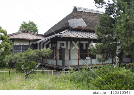 万代会館の初夏 115810548