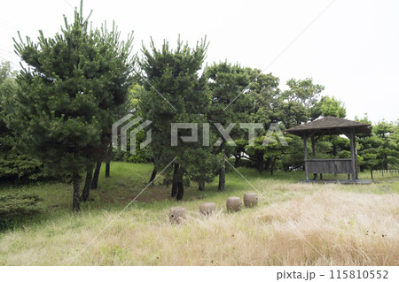 万代会館の初夏 115810552