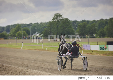 Horse racing with carts at the hippodrome in Denmark. Horse racing with carts at the hippodrome in Denmark. 115810740