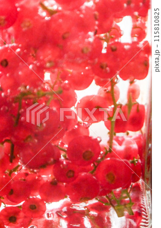 宝石のようなスグリの赤い実ハーブ名レットカラントの果実酒 宝石のようなスグリの赤い実ハーブ名レットカラントの果実酒 115810825