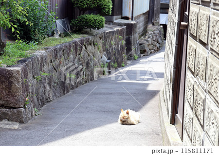 尾道散策 路地めぐり（広島県 尾道市） 115811171