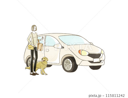 車で旅行をする女性と犬 115811242