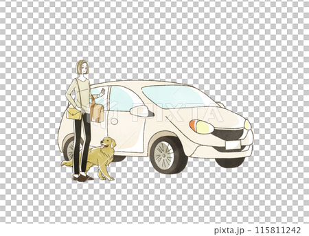 車で旅行をする女性と犬 115811242
