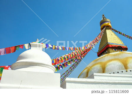 ネパールの首都カトマンズにあるボダナートのとても美しい風景 115811600